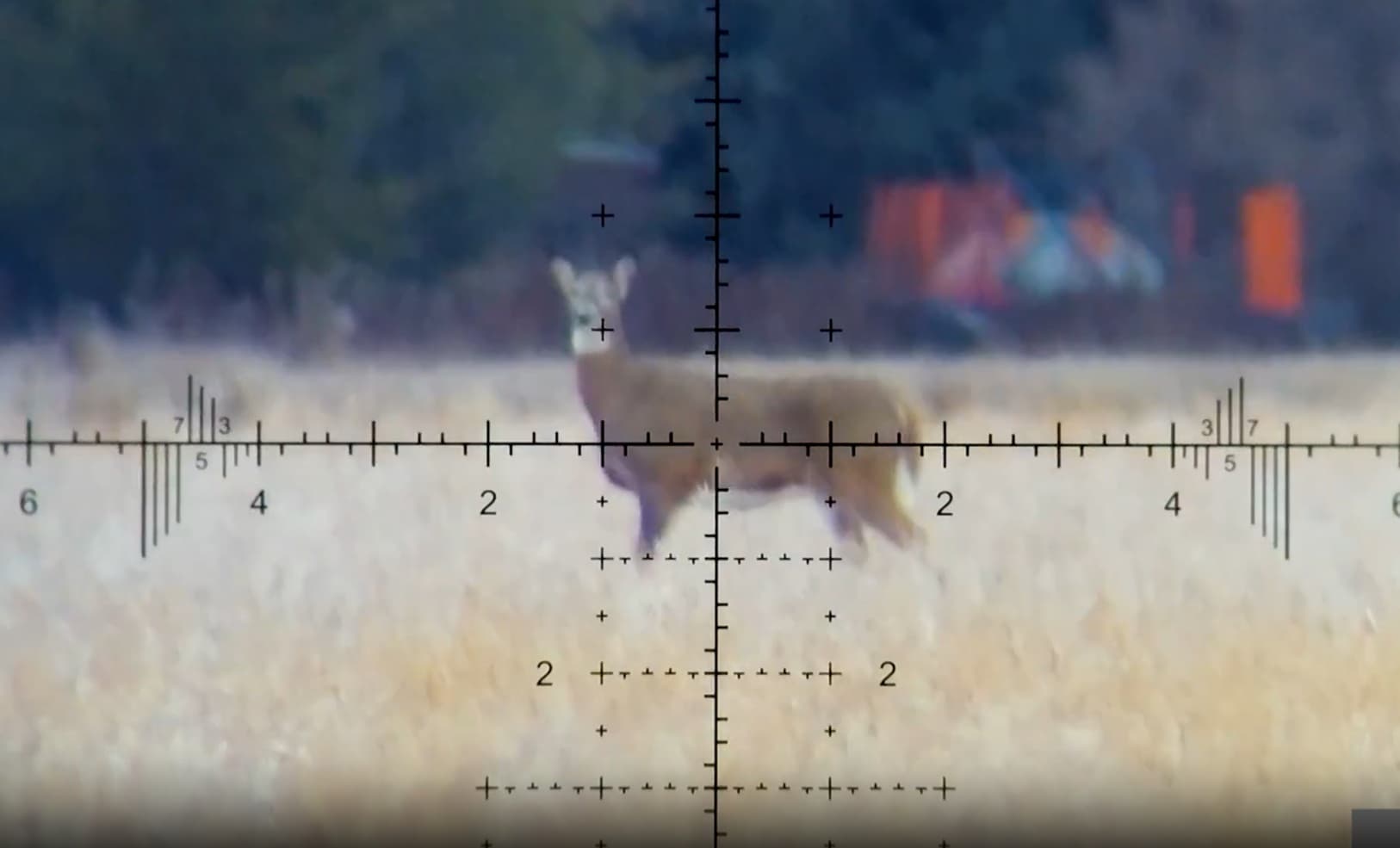 Kid Makes 400y Whitetail Kill On First Hunt - 7 PRC / Burris XTR Pro