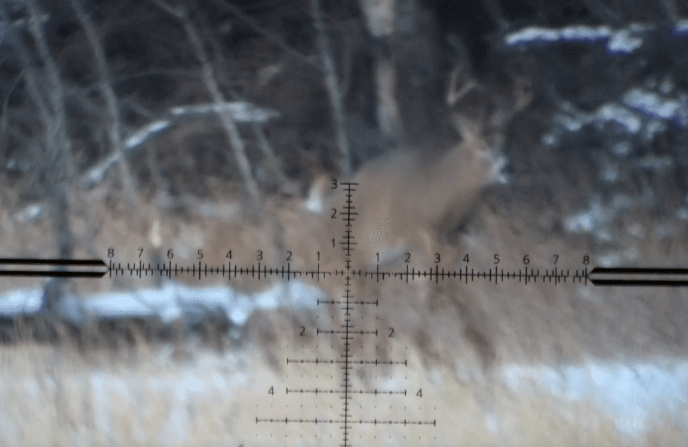 Whitetail Buck Kill With Tikka CTR 6.5 PRC and Zeiss LRP S3