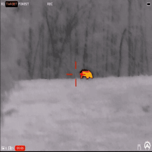 Thermal Hog Hunt with Armasight Contractor 320 | Black Hot Target Mode in Action