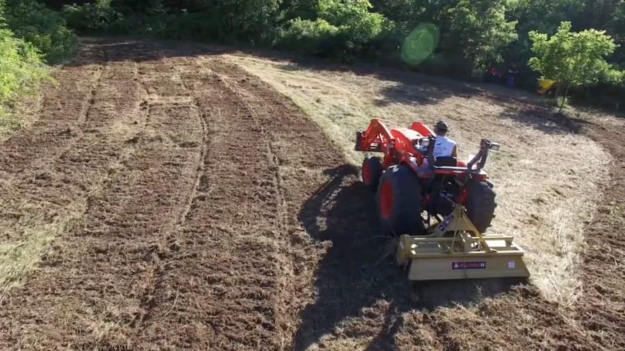 Deer Food Plots: Step By Step Process