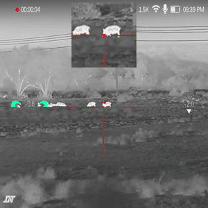 Sounder Of Hogs Decimated By SOLGW MK10 .308