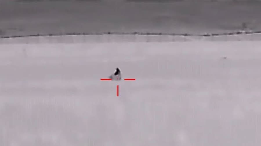 Tall Grass No obstacle For Contractor 640