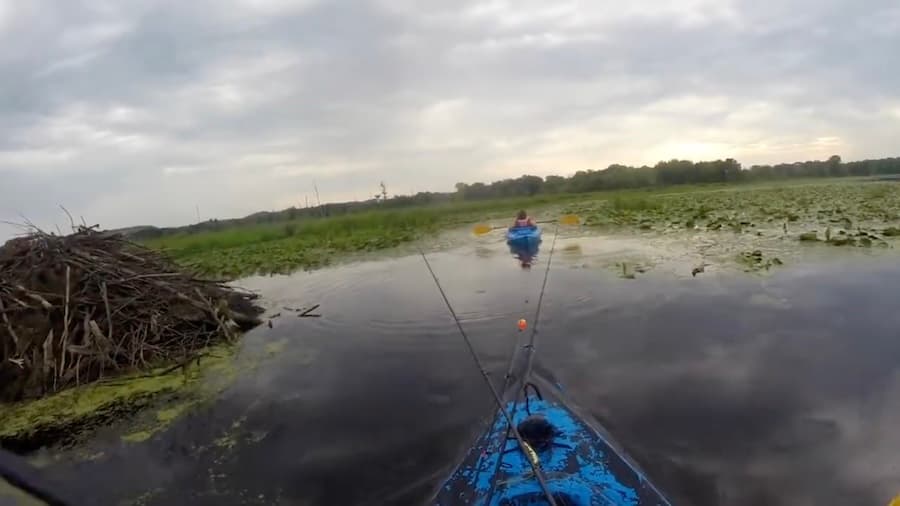 Slaying Dogfish (Bowfin) On The Kayak