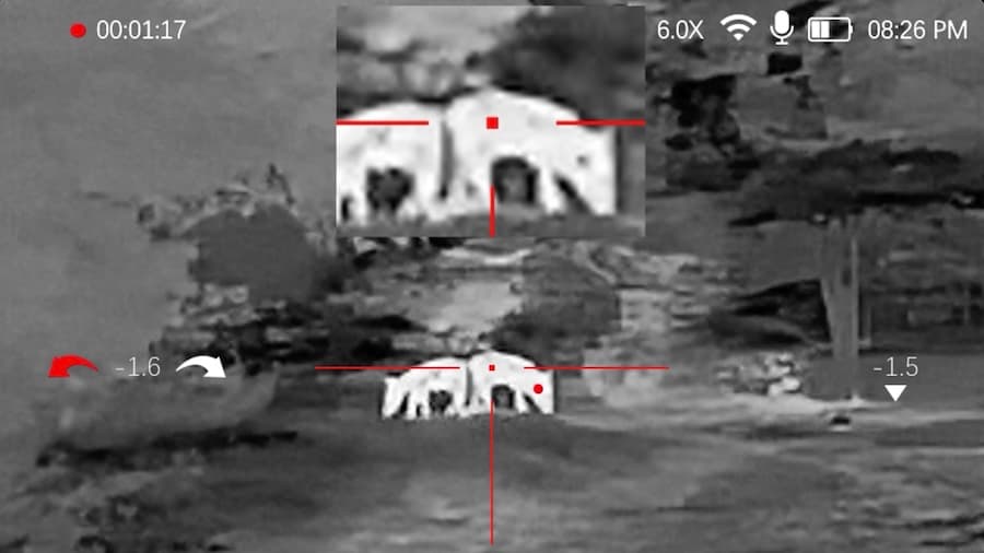 45-70 Drops Hog In Its Tracks