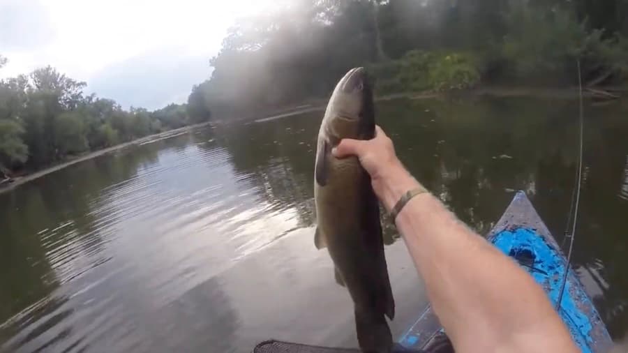 Bowfin Battled From Kayak With 8 Pound Line