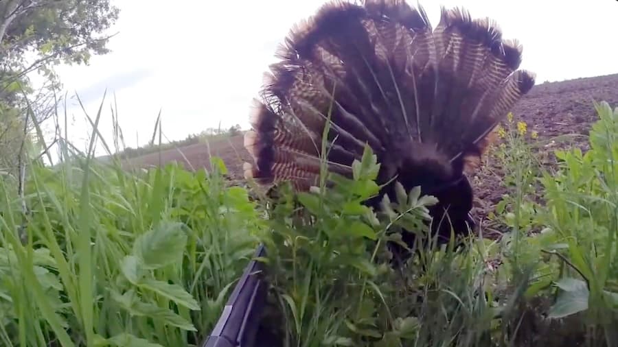 Flextone Thunder Creeper Tricks Big Tom Turkey