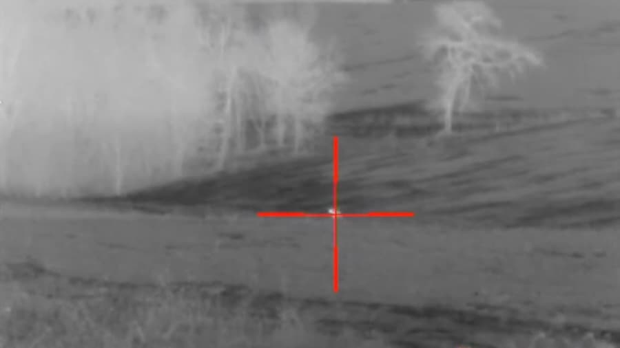 Coyote Zapped At 250 Yards At Night