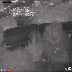 Coyote Taken At 500+ Yards