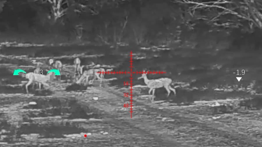 Deer Observed Through DNT Hydra -HS635